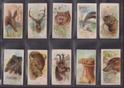 Trade cards, USA, Philadelphia Carmel Co, Wild Animals (Zoo Cards) (set, 50 cards) (some with