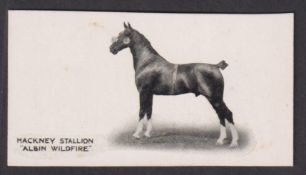 Cigarette card, Taddy, Famous Horses & Cattle, type card, no 30, Hackney Stallion, 'Albin