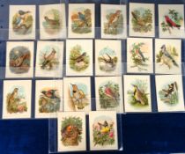 Trade cards, USA, G.E. Marsh (Goodwill Soap), New England Birds, 'XL' size (set, 20 cards) (some