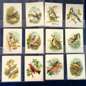 Trade cards, USA, G.E. Marsh (Goodwill Soap), New England Birds, 'XL' size (set, 12 cards) (some