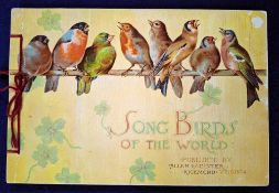 Printed album, USA, Allen & Ginter Songbirds of the World (paper loss on the top right corner of