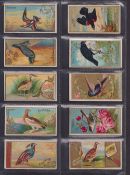 Cigarette cards, USA, Allen & Ginter, 10 type cards, Game Birds (6, American Bittern, American