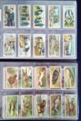 Cigarette cards, Player's, 81 complete sets contained in 8 modern 'Nostalgia' albums with