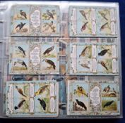 Trade cards, Birds, over 300 cards, mainly Continental issues, part sets & odds from various issuers