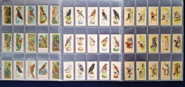 Cigarette cards, 7 sets; Ogden's (4, Dogs, British Birds & Their Eggs, British Birds 1st series,