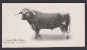 Cigarette card, Taddy, Famous Horses & Cattle, type card, no 21, Longhorn Bull, 'Eastwell Eagle' (
