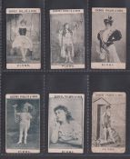 Cigarette cards, Phillips, Beauties, Plums (Black & White front), six cards, ref. H186, pictures nos