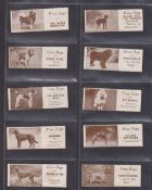 Trade cards, Sharps Toffees Prize Dogs, 20 cards (fronts gen gd, backs very mixed including a few