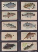 Trade cards, USA, Philadelphia Carmel Co, Fish from American Waters (Zoo Cards) (set, 50 cards) (