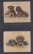 Cigarette cards, Wills Puppies (unissued series), 2 type cards nos.24 & 38 (vg)