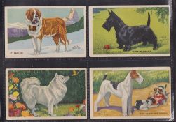 Trade cards, Kellogg's USA, Dog Pictures (set 24 cards) XL sized (6 cards with brown staining,