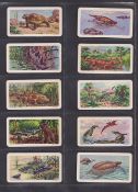 Trade cards, Brooke Bond Canada, 7 sets, Dinosaurs, Animals & Their Young, Animals of North America,