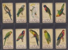 Cigarette cards, CWS Parrot series, 10 cards, nos. 4 5 6 8 10 11 12 16 17 18 (low grade, fair at