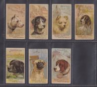 Cigarette cards, USA, H. Ellis & Co, Dogs (Triplex Cigarettes, caption front & back), seven cards,