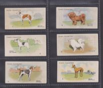 Cigarette cards, Cope Dogs (Danish version), 6 cards numbers 3 5 6 30 32 48 (gd)