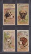 Cigarette cards, USA, H. Ellis & Co, Dogs (Tiger Cigarettes, caption front & back), four cards,