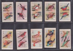 Cigarette cards, India, Peninsular Tobacco Co, Birds of Brilliant Plumage (P/C inset) (set, 52