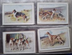 Cigarette cards, 17 sets, all Dog related, Morris Racing Greyhounds, Sinclair Champion Dogs, Godfrey