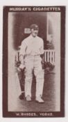 Cigarette card, Murray's, Cricketers (Series H, Brown front), type card, W. Rhodes, Yorks. (gd/