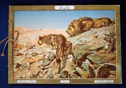 Printed album, USA, Kinney Natural History (wear on top right corner of front cover, otherwise a