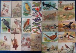 Postcards, Birds approx. 85 cards to include Tuck's pop-out, Tucks Oilette, birds and their eggs,