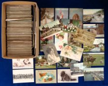 Postcards, a mixed collection of approx 600 cards to include subjects and topo. Cats, dogs, farming,