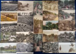 Postcards, Scilly Isles and Lundy, approx 150 cards to include picking daffodils, public gardens,