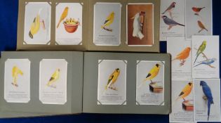 Trade cards, Capern's Bird Seeds, special dark brown album with 48 P sized cards corner mounted (