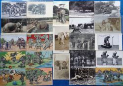 Postcards, Elephants, 48 cards to include Rosie at Bristol Zoo, comic, Broncho Bill's Wonderful