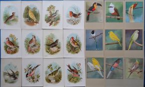 Postcards, approx 200 P. Sluis artist drawn cards mainly featuring Finches and Parrots together with
