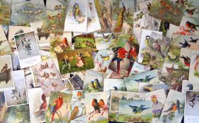 Postcards, Birds, approx 250 artist drawn cards to include Klein, Vernon Ward, M Bowley, Ellen Welby