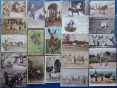 Postcards, Donkeys, 40 cards RPs, printed and artist drawn to include Mrs Caudle's Curtain Lectures,