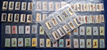 Trade cards, British Automatic Co Weight, 8 sets; Dogs 1st with 'Weigh Daily'. Dogs 1st without '