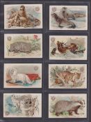 Trade cards, USA, Church & Dwight, Interesting Animals, 'M' size (set, 60 cards) (one with slight