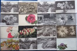 Ephemera, Suttons Seeds, a collection of 52 flower postcards and advertising cards for Sutton’s
