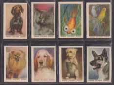 Cigarette / Trade cards, 2 sets, Gallaher Champion Animals & Dogs (Set 25 cards), Vita Brits (