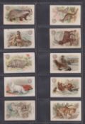 Trade cards, USA, Church & Dwight, Interesting Animals (Miniature), (51/60, missing nos 16, 24,
