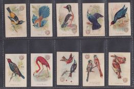 Trade cards, USA, Church & Dwight, Beautiful Birds, New Series (Miniature) (55/60, missing nos 4,
