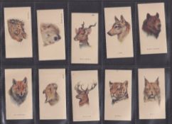 Cigarette cards Player's Wild Animals Heads Transfers (no series quantity) (set 25 transfer