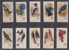 Trade cards, USA, Church & Dwight, Beautiful Birds, New Series (Standard) (44/60) (most with faults,
