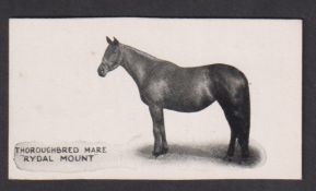 Cigarette card, Taddy, Famous Horses & Cattle, type card, no 3, Thoroughbred Mare Rydal Mount (top