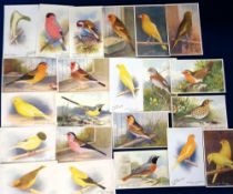 Trade cards, Canary & Cage Bird Life, Cage Birds, 22 postcards, mixed green & black backs, inscribed