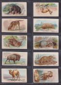 Trade cards, USA, Philadelphia Caramel Co, Zoo Cards - Wild Animals of the World (set, 50 cards) (