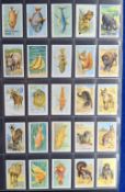 Cigarette cards, 21 sets in large modern album, all Nature themed; Gallaher (5, including Zoo