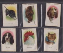 Tobacco silks, ATC, Domestic Animal Heads, 'M' size (19/25, missing nos 11, 12, 15, 20, 22 & 23) (