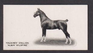 Cigarette card, Taddy, Famous Horses & Cattle, type card, no 30, Hackney Stallion, 'Albin