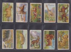 Cigarette cards, Godfrey Phillips Animal Series 31/40 (missing numbers 1 4 13 14 28 32 34 36 39) (