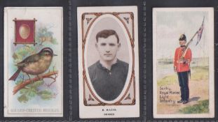 Trade cards, John Filshill, three type card, Birds & Their Eggs 'Golden Crested Regulus' (slight