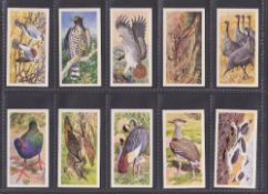 Trade cards, Brooke Bond Rhodesia, African Birds (set 50 cards) (vg)