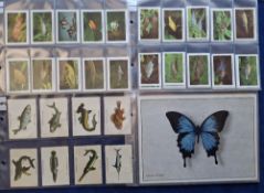 Trade cards, 23 sets / subsets of a larger series. Majority Natural History related, a few other